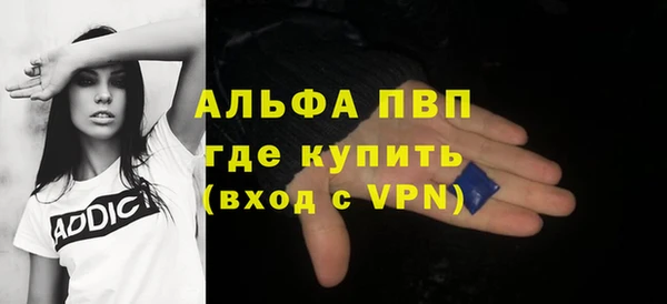СК Волоколамск