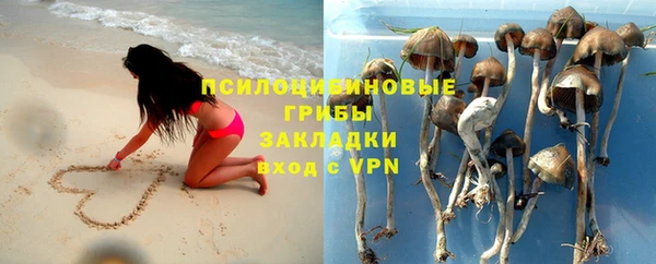 герыч Вяземский